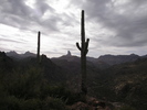 photo thumbnail #7