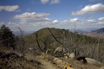 photo thumbnail #4