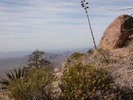 photo thumbnail #6