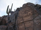 photo thumbnail #1
