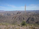 photo thumbnail #14