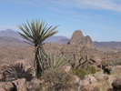 photo thumbnail #15