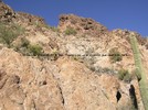 photo thumbnail #6
