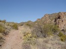 photo thumbnail #3