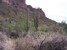 photo thumbnail #3