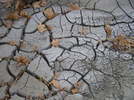 photo of comment