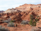 photo thumbnail #3