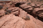 photo thumbnail #15