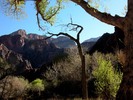 photo thumbnail #12