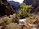 photo thumbnail #13