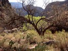 photo thumbnail #14