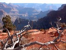photo thumbnail #13