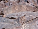 photo thumbnail #13