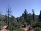 photo thumbnail #2