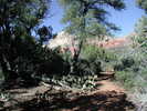 photo thumbnail #4
