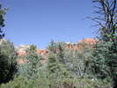 photo thumbnail #8