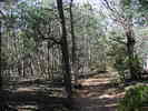 photo thumbnail #12