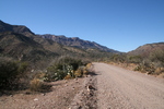 photo thumbnail #1