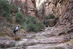 photo thumbnail #9