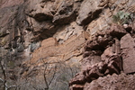 photo thumbnail #13