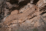 photo thumbnail #14