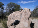 photo thumbnail #4