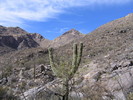 photo thumbnail #10