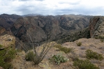 photo thumbnail #7