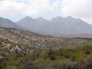 recent photo
