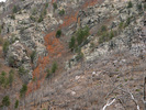 photo thumbnail #4