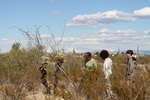 photo thumbnail #1