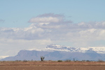 photo of comment