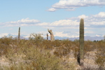 photo thumbnail #3