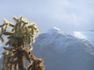 photo thumbnail #2