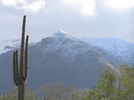 photo thumbnail #4