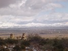 photo thumbnail #6