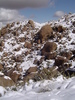 photo thumbnail #11