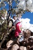 photo thumbnail #3