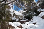 photo thumbnail #6
