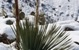 photo thumbnail #13