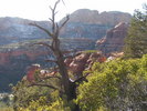 photo thumbnail #7