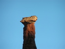 photo thumbnail #14