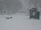 photo thumbnail #8