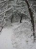 photo of comment