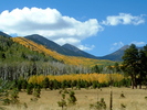 photo thumbnail #11