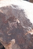 photo thumbnail #15