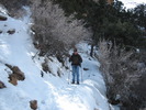 photo thumbnail #4