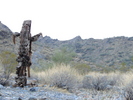 photo thumbnail #2