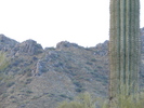 recent photo