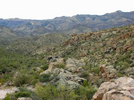 photo thumbnail #4